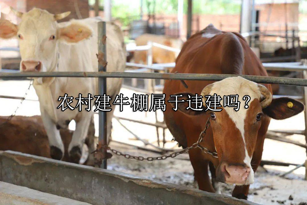 %title插圖%num %title插圖%num